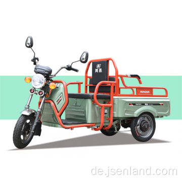 Neues Modell Mini Electric Cargo Dreirad